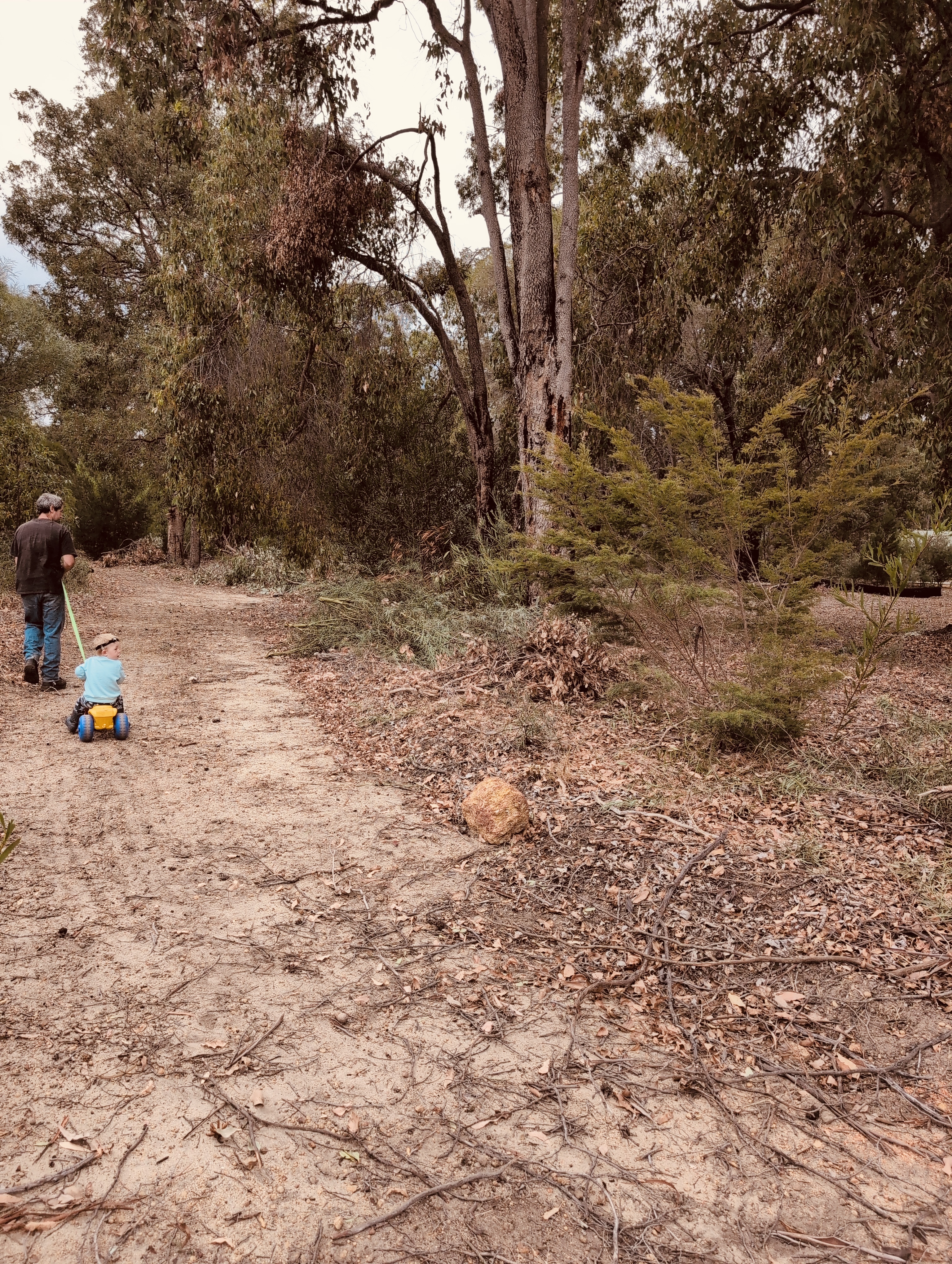 Bushland walking path at Mt Helena Retreat