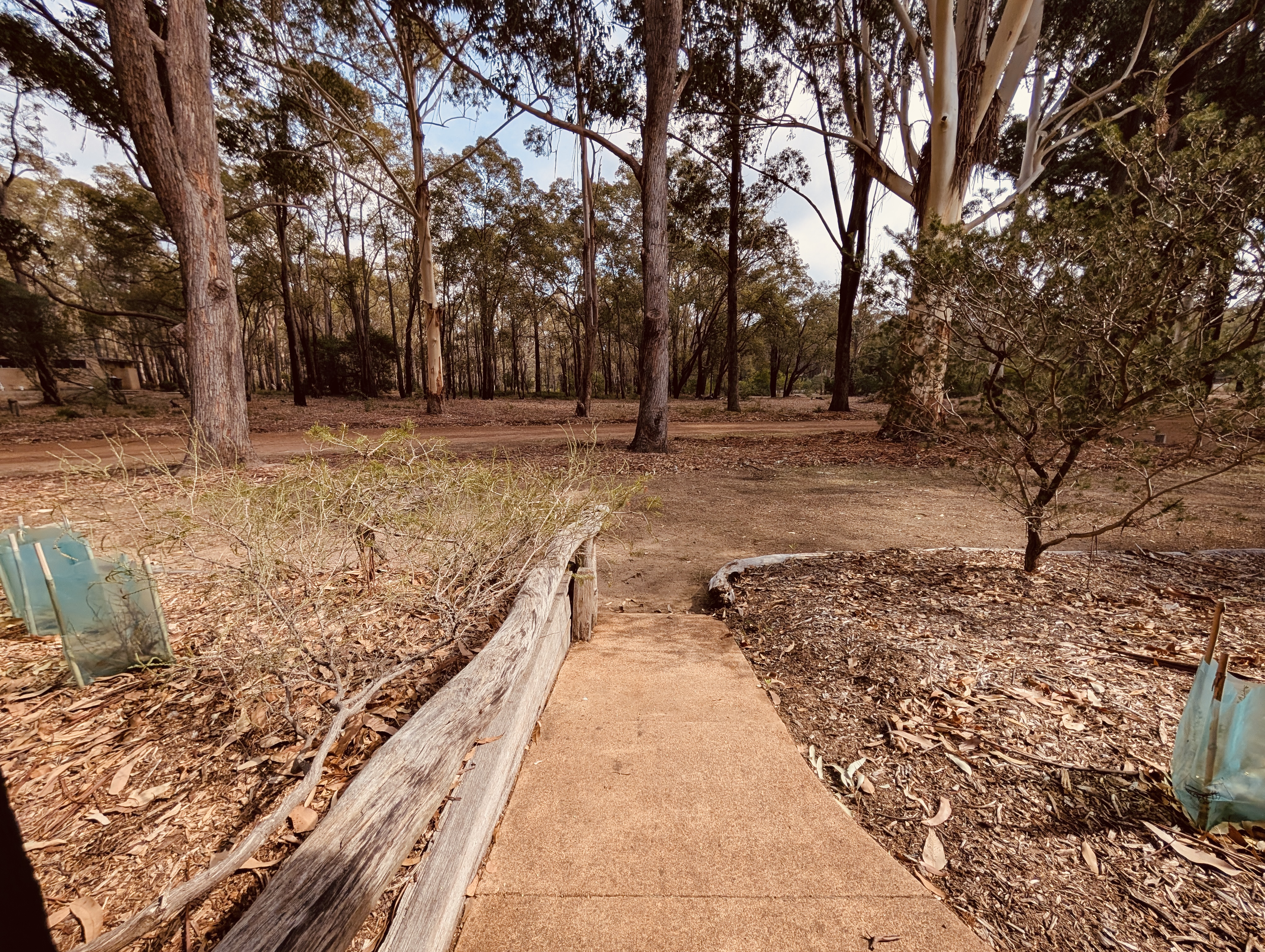 Walkway through native bush