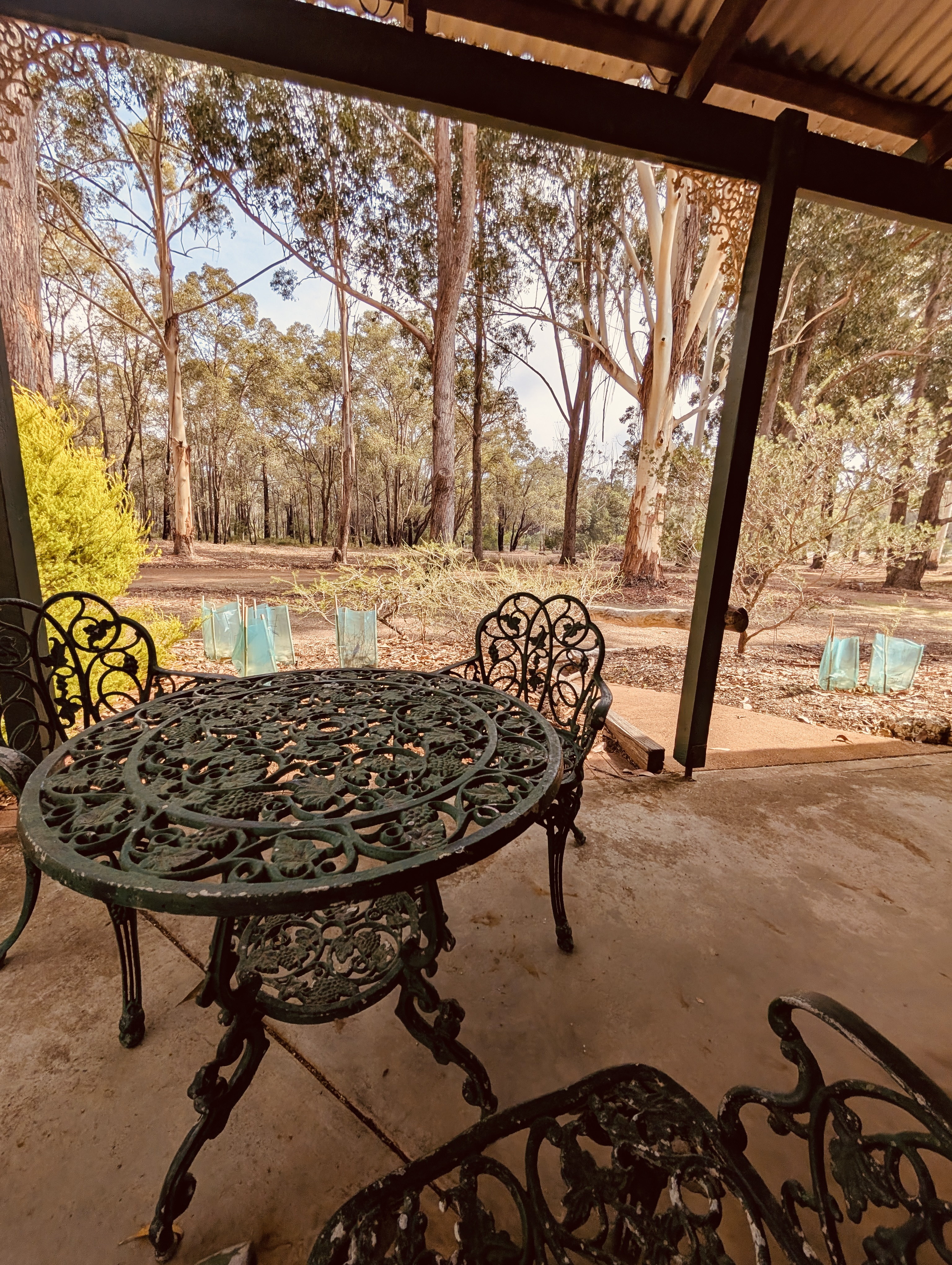 Shaded veranda with iron furniture overlooking bush